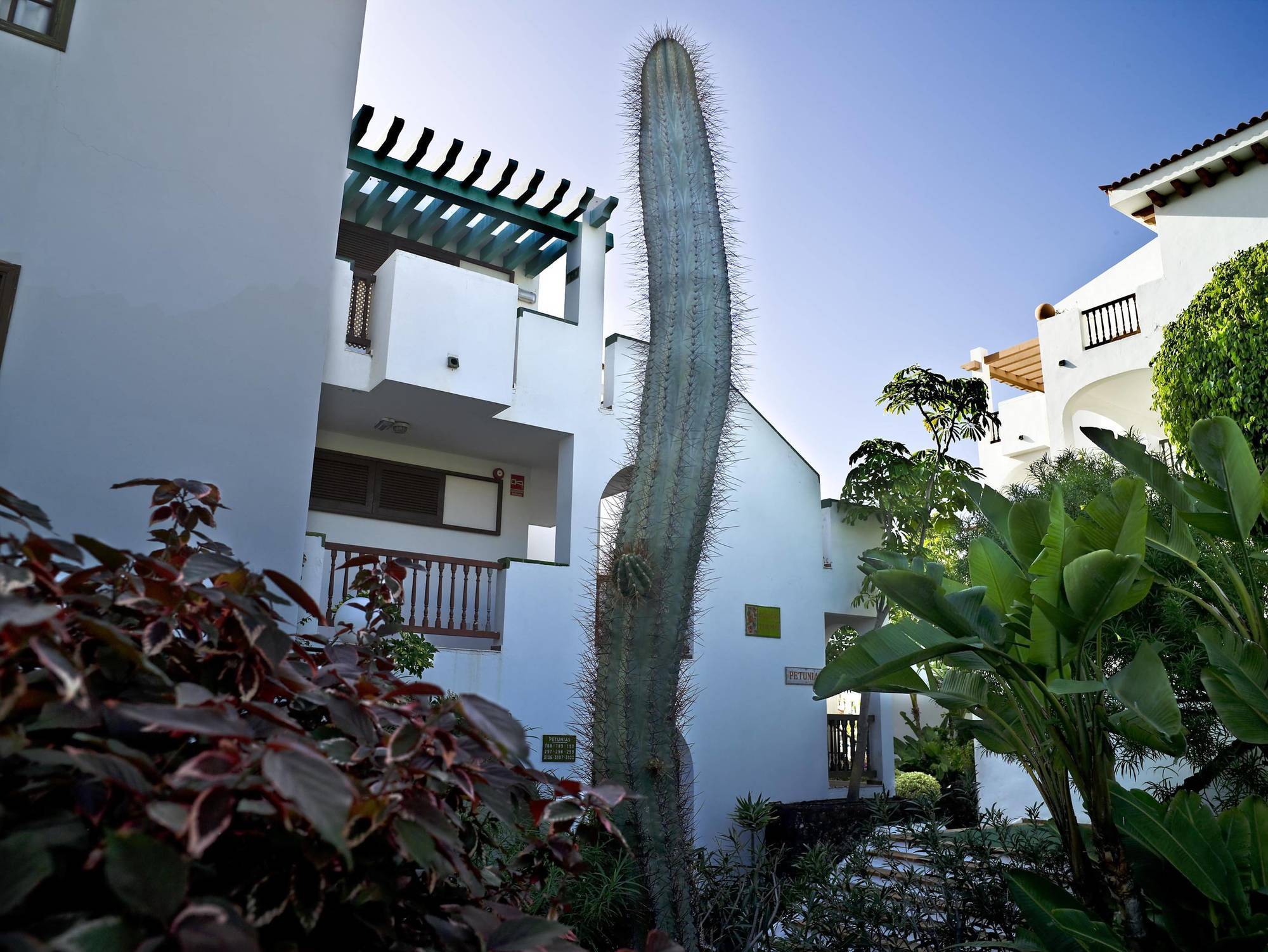 Apartahotel Blue Sea Callao Garden Callao Salvaje